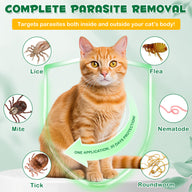 Oimmal Flea & Tick Prevention (6P)