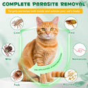 Oimmal Flea & Tick Prevention (6P) - 2Pack