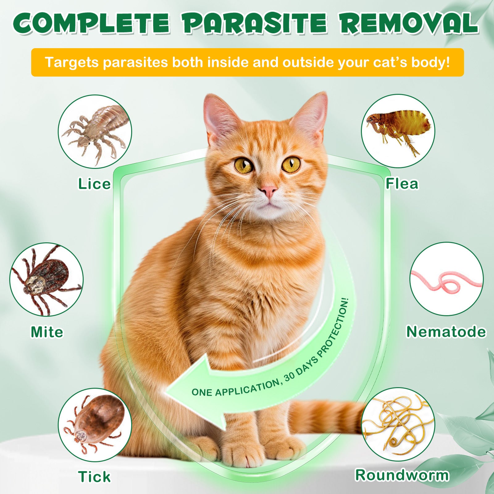 Oimmal Flea & Tick Prevention (6P) - 2Pack