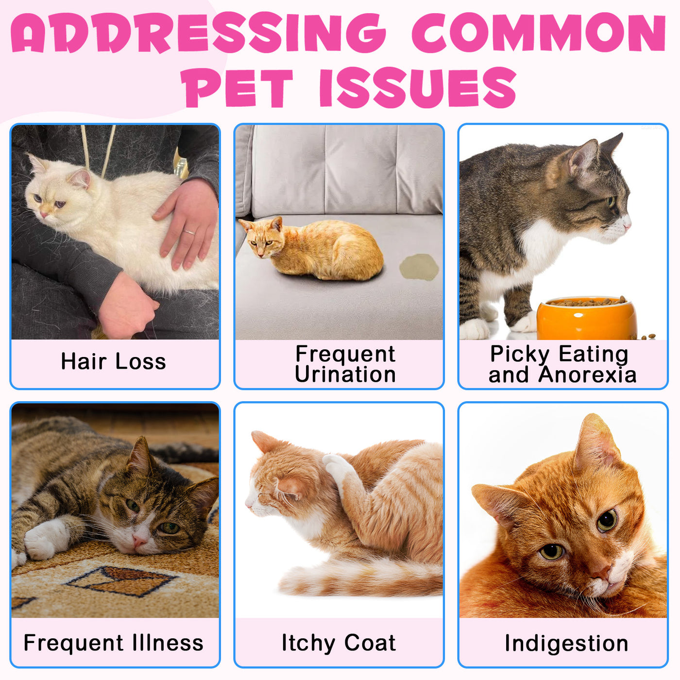 Oimmal Collagen Drops for Cats