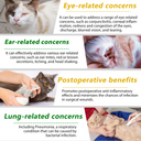 Oimmal Natural Antibiotic Drops for Cats