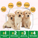 Oimmal 150pcs Dog Bladder Control Chews (Peking Duck Flavor) - 2Pack