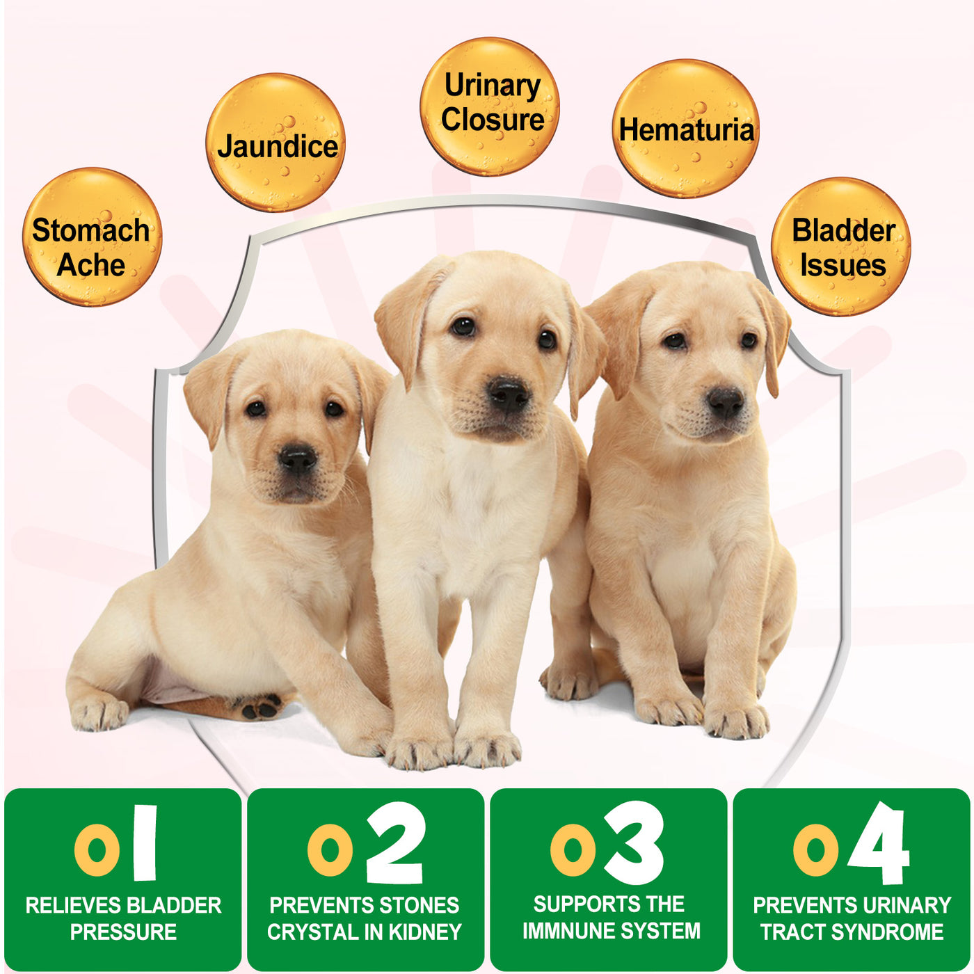 Oimmal 150pcs Dog Bladder Control Chews (Peking Duck Flavor) - 2Pack