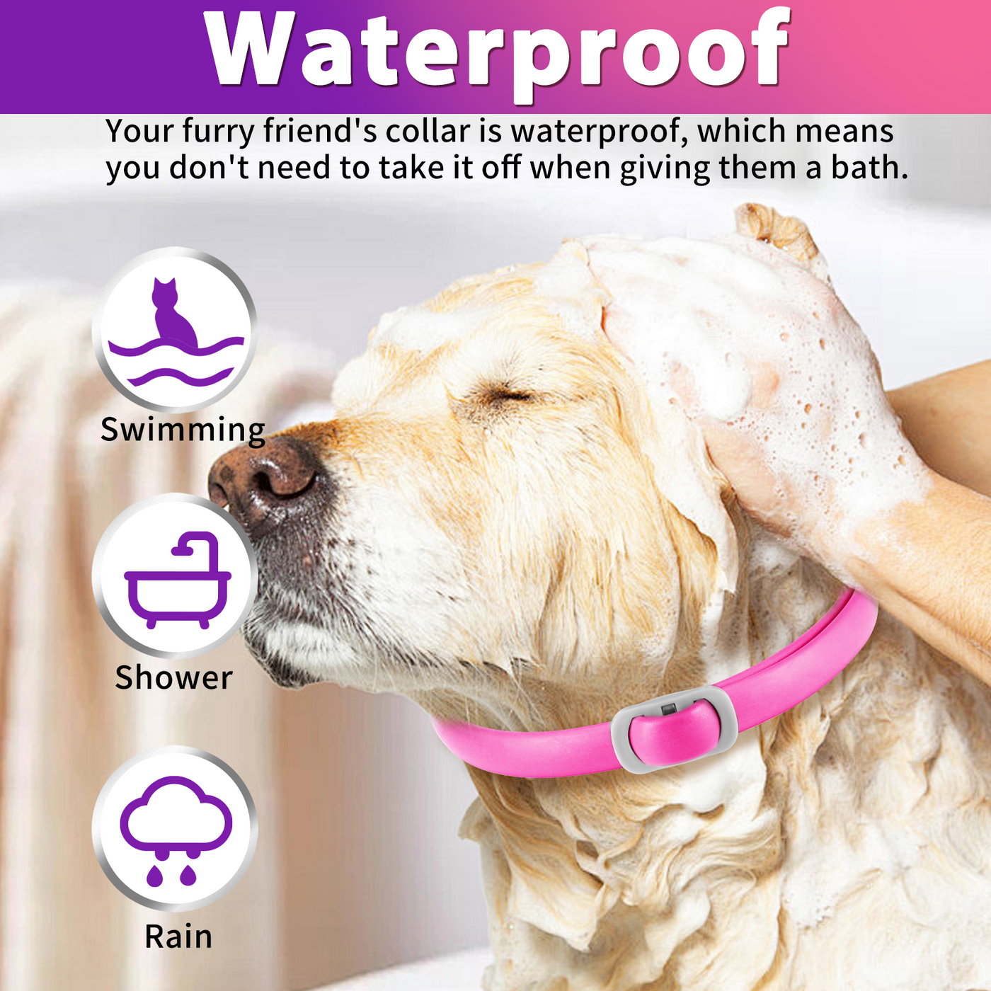 Oimmal Flea & Tick Collar for Dogs (4 Collars) - Pink&Purple