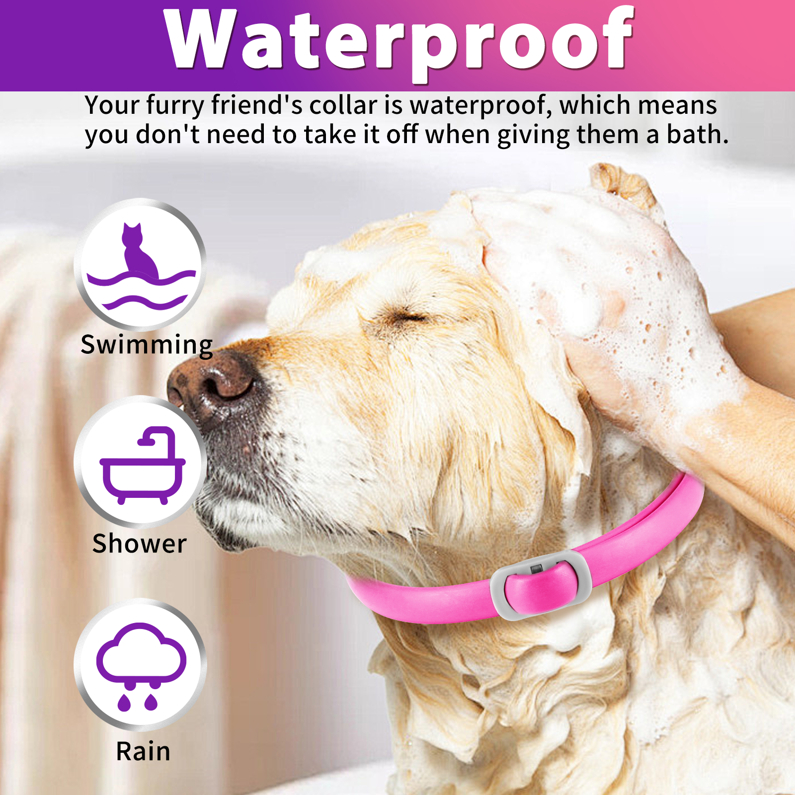 Oimmal Flea & Tick Collar for Dogs (4 Collars) - Pink&Purple