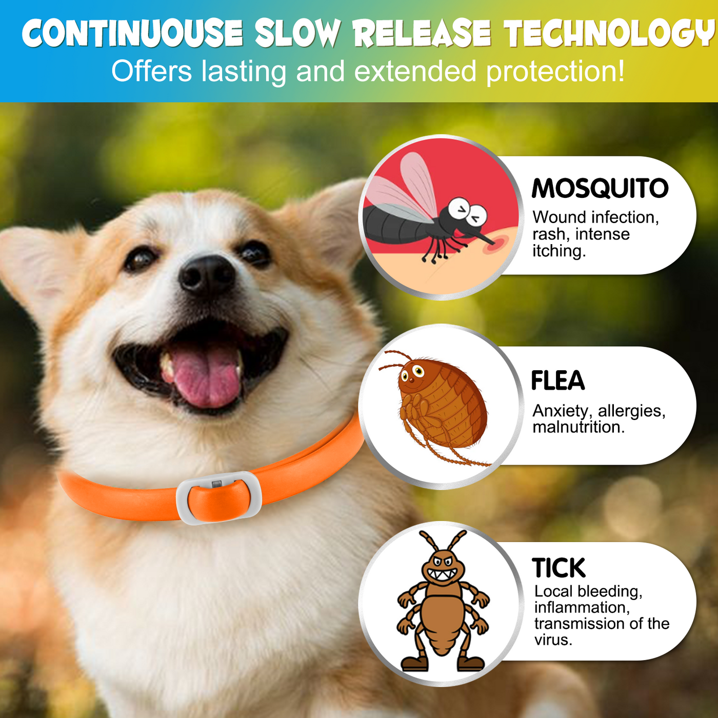 Oimmal Flea & Tick Collar for Dogs (4 Collars) - Blue&Orange