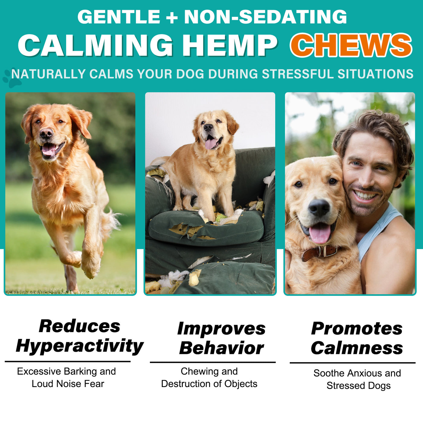 Oimmal Hemp Calming Chews - 60 Chews / Chicken Flavor