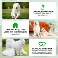 Oimmal 150pcs Dog Flea & Tick Chews (Peking Duck Flavor) - 2Pack
