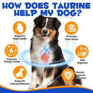 Oimmal Dog Taurine Powder - 1Pack
