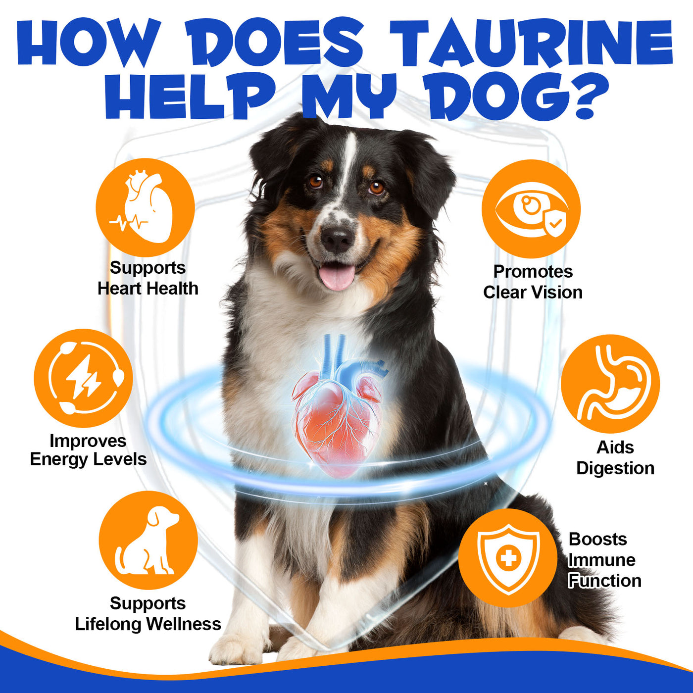 Oimmal Dog Taurine Powder - 1Pack