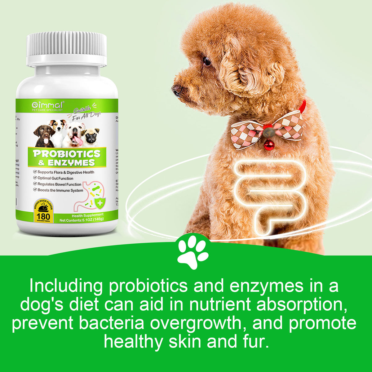 Oimmal Probiotics & Enzymes Supplement for Dogs · oimmal