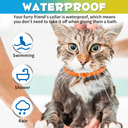 Oimmal Flea & Tick Collar for Cats (4 Collars) - Blue&Orange