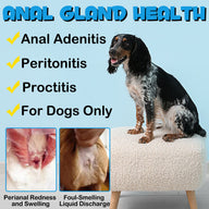 Oimmal 150pcs Dog Anal Cland Support Chews - 2Pack