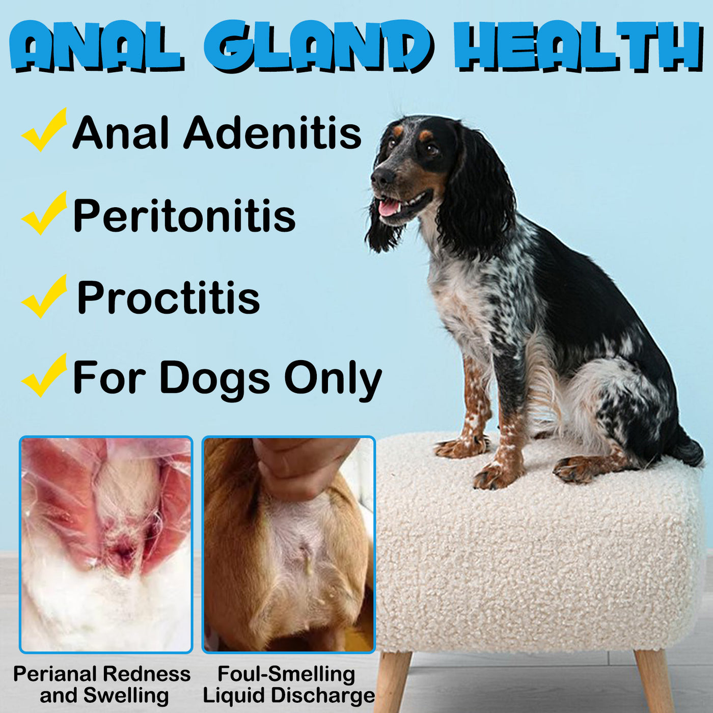 Oimmal 150pcs Dog Anal Cland Support Chews - 2Pack