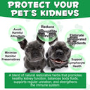 Oimmal Kidney Support for Dogs