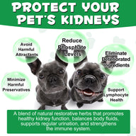 Oimmal Kidney Support for Dogs