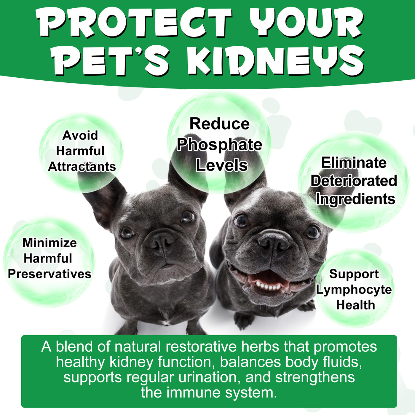 Oimmal Kidney Support for Dogs
