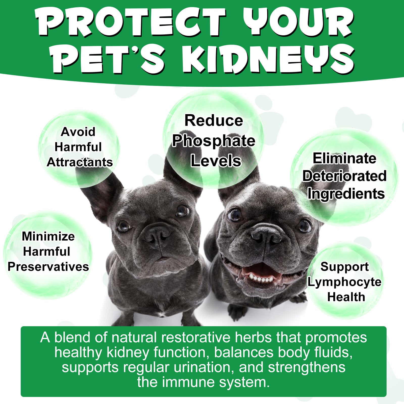 Oimmal Kidney Support for Dogs