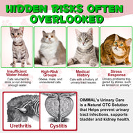 Oimmal Cats Urinary Tract Supplement