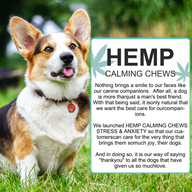 Oimmal Hemp Calming Chews - 60 Chews / Peking Duck Flavor