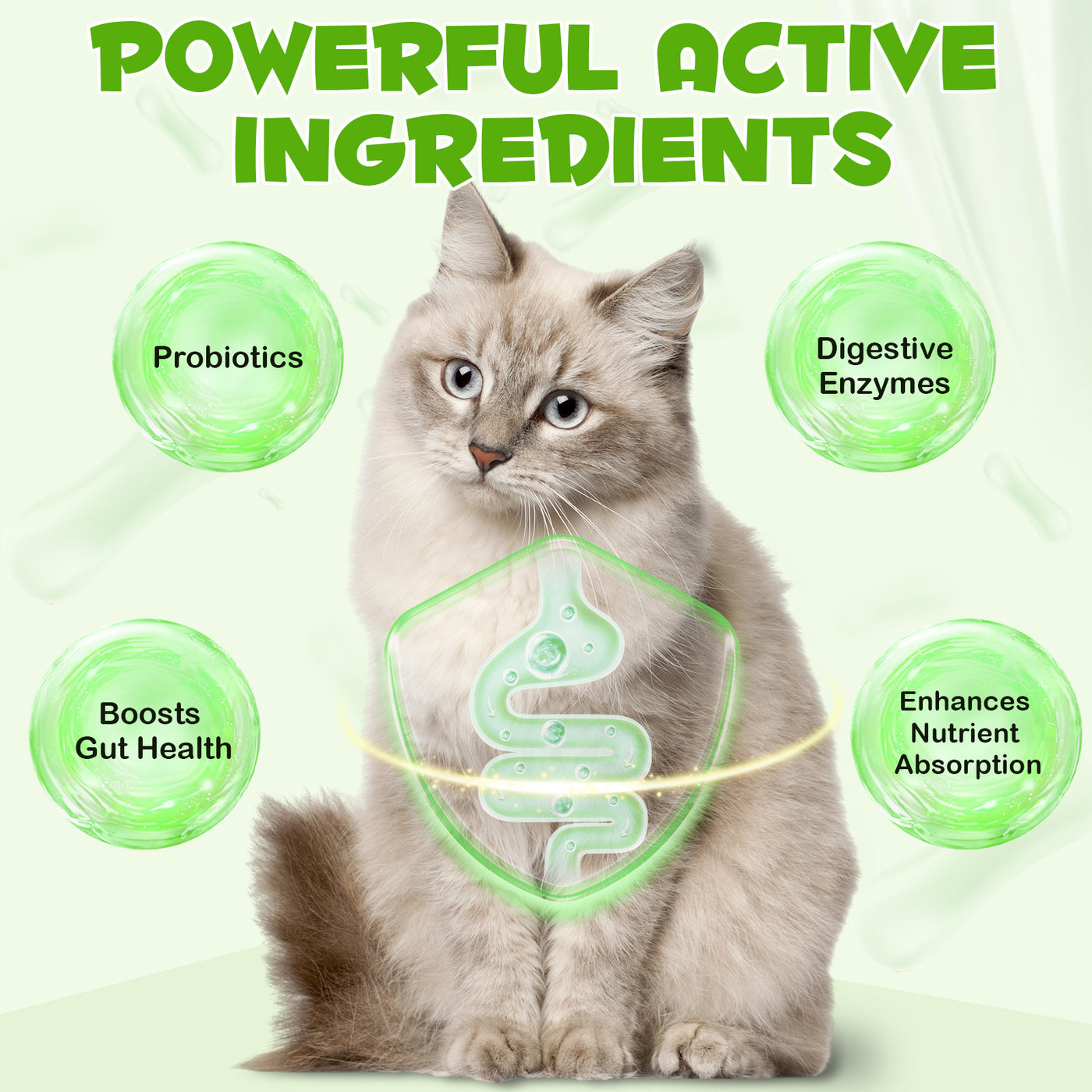 Oimmal Cats 3in1 Probiotic Drops - 1Pack