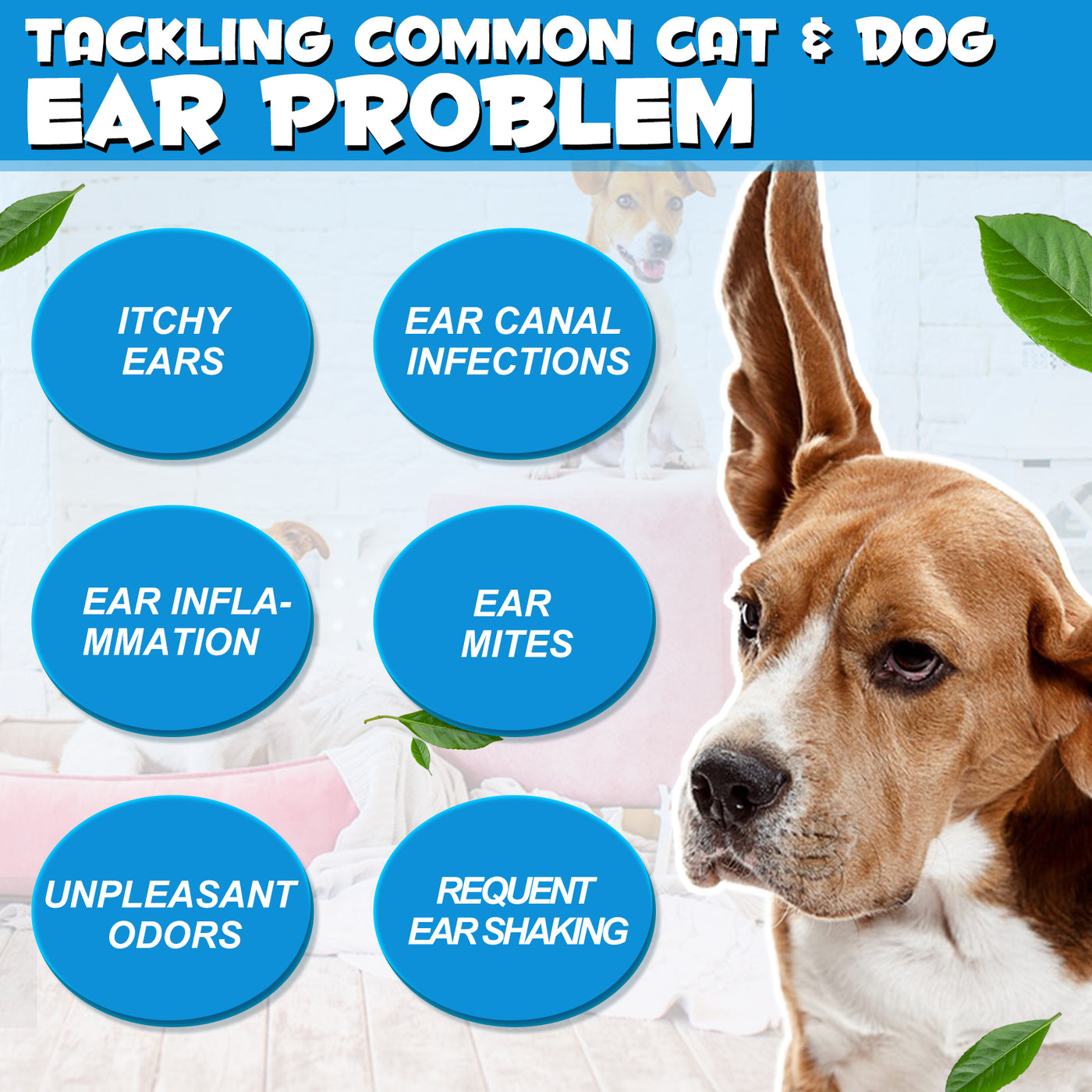 Oimmal Pets Ear Drops 60ml - 1Pack