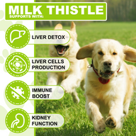 Oimmal Milk Thistle Drops for Dogs - LOT of 2