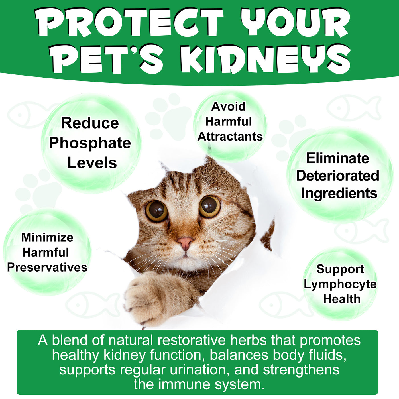 Oimmal Kidney Support for Cats - 2Pack