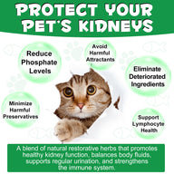 Oimmal Kidney Support for Cats