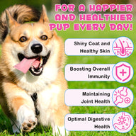 Oimmal Collagen Drops for Dogs