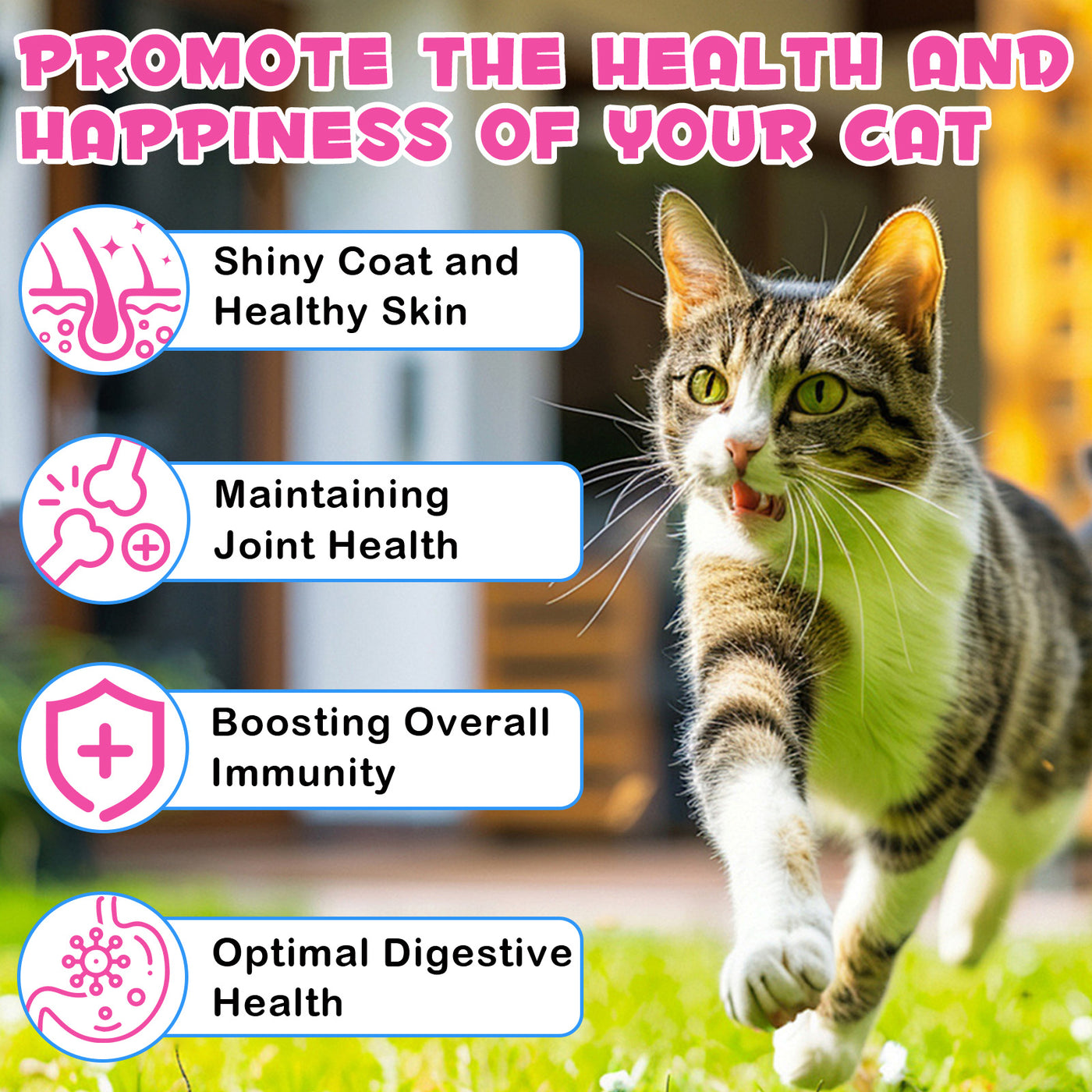 Oimmal Collagen Drops for Cats