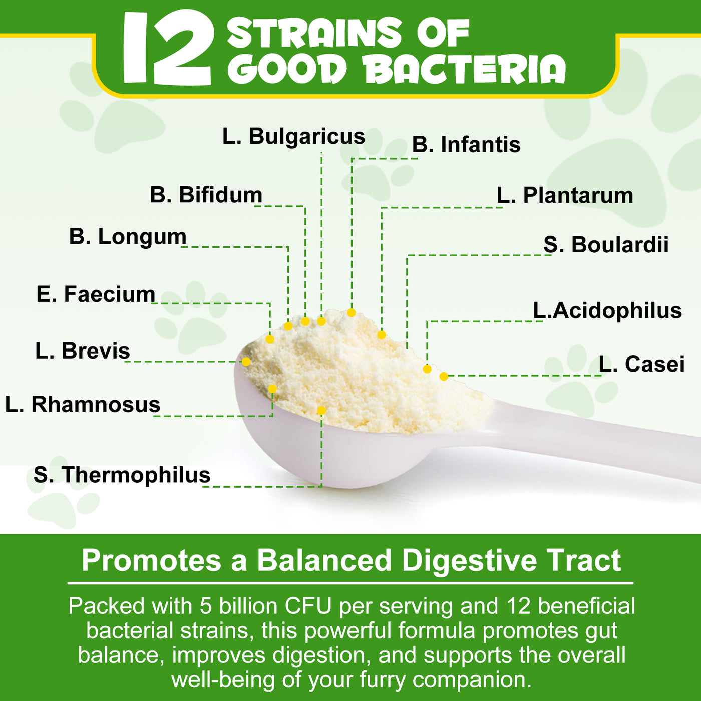 Oimmal Dog Probiotics Powder 120g - 1Pack