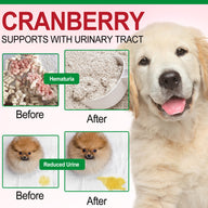 Oimmal 150pcs Dog Bladder Control Chews (Peking Duck Flavor) - 2Pack