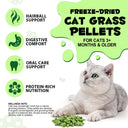 Oimmal Cat Grass Pellets 80g - 1Pack