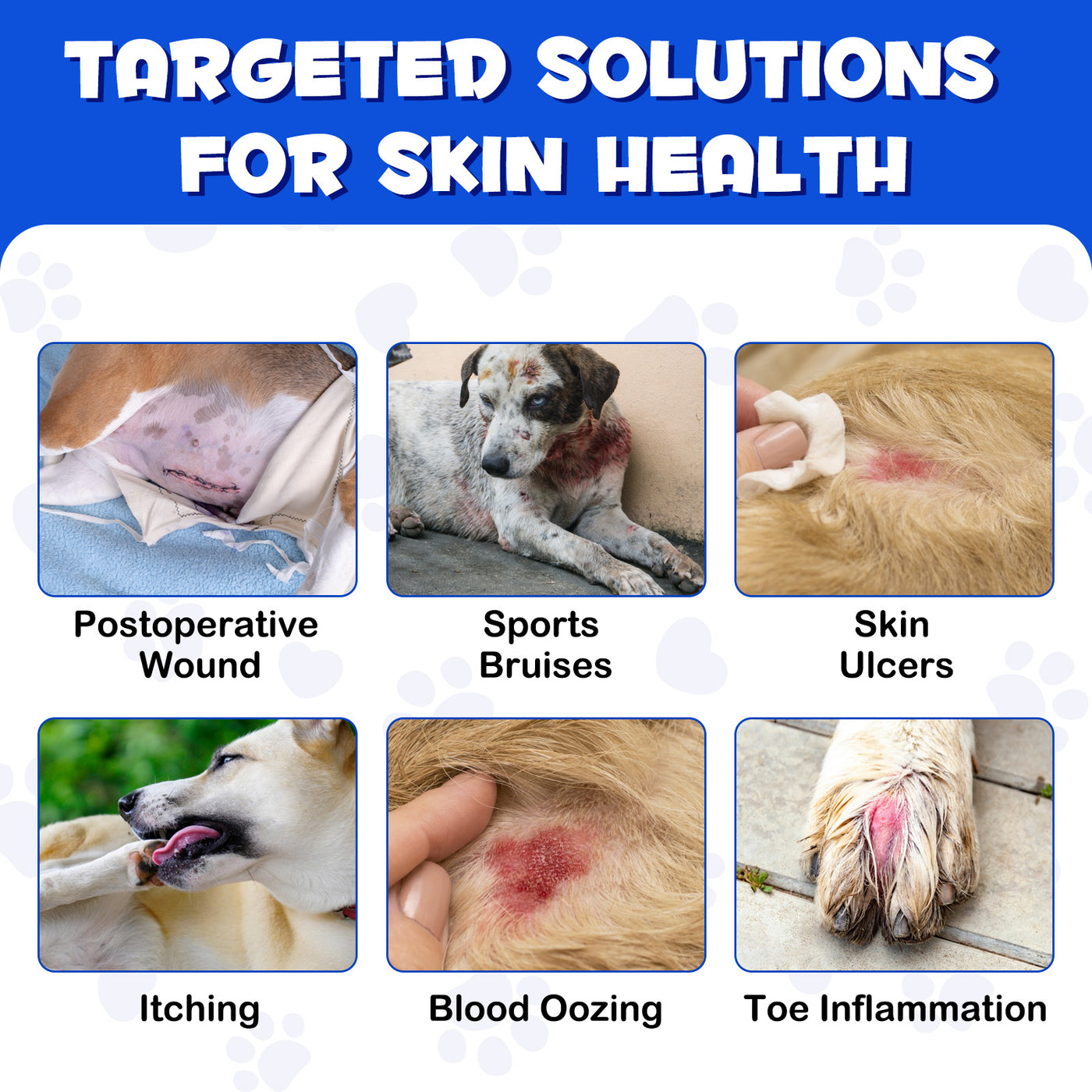 Oimmal Dog Wound Healing Aid Treatment Spray -100ml