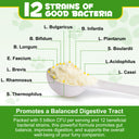 Oimmal Dog Probiotics Powder 120g - 2Pack