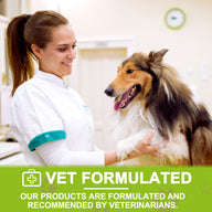 Oimmal Milk Thistle Supplement for Dogs