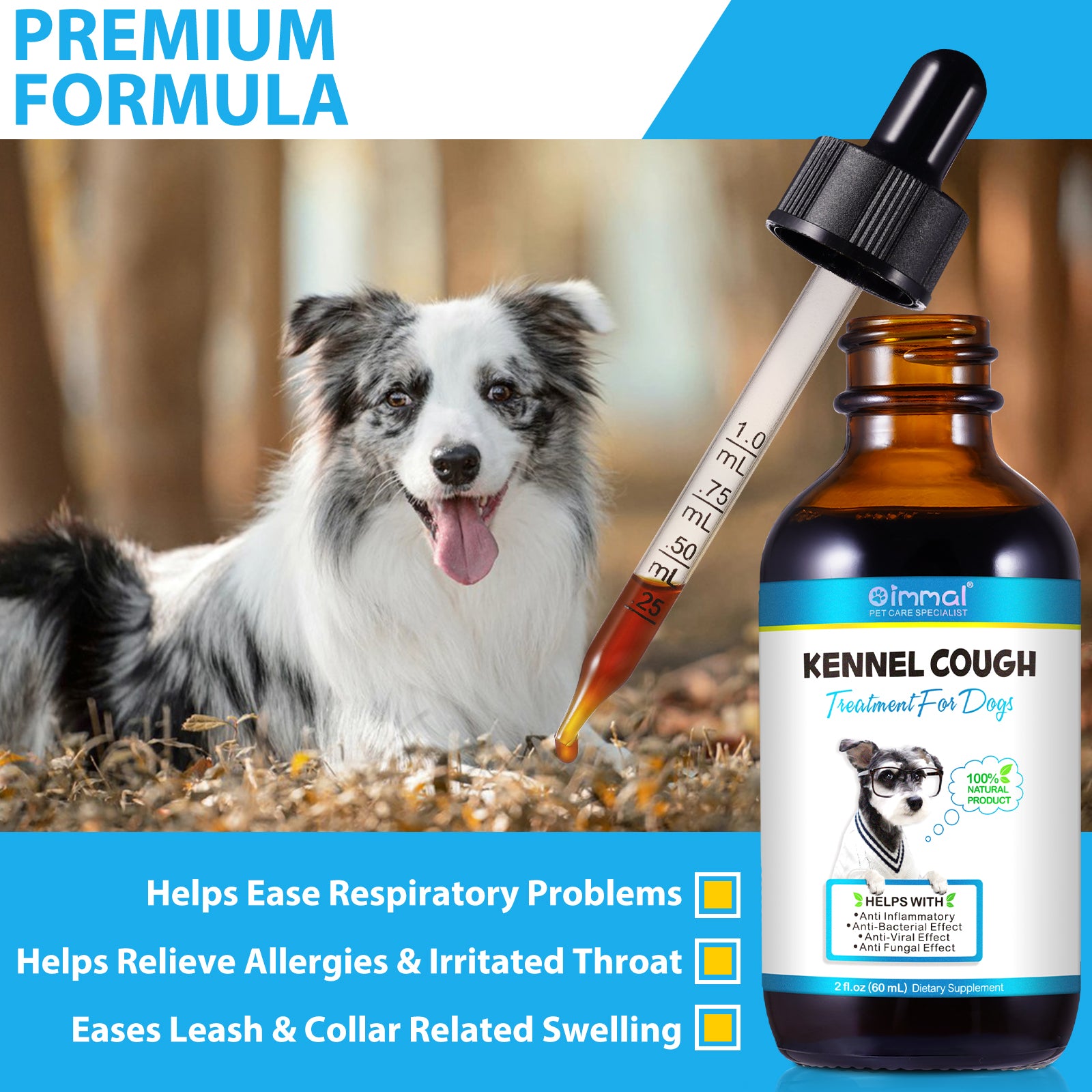 Kennel cough clearance cough medicine