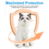 Oimmal L-Lysine Immune Support Power for Cat - 2Pack