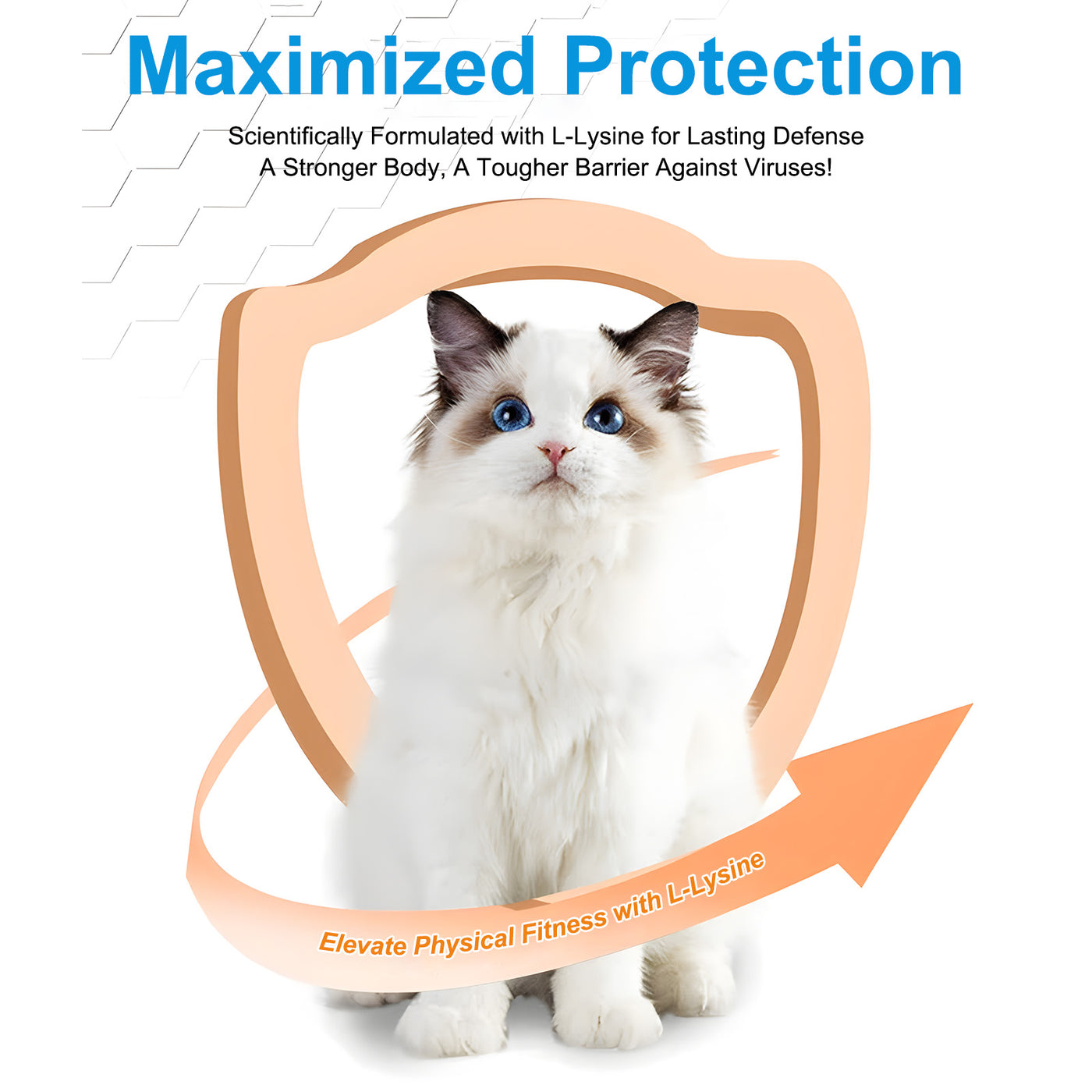 Oimmal L-Lysine Immune Support Power for Cat - 2Pack