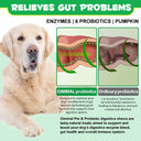 Oimmal Pre & Probiotic Digestive Chews - 2 Packs