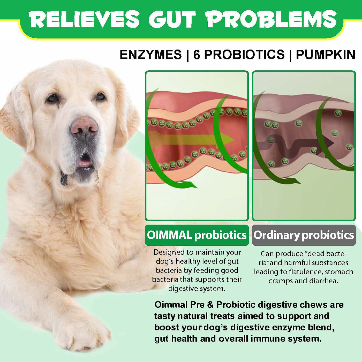 Oimmal Pre & Probiotic Digestive Chews - 2 Packs