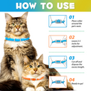 Oimmal Flea & Tick Collar for Cats (4 Collars) - Blue&Orange