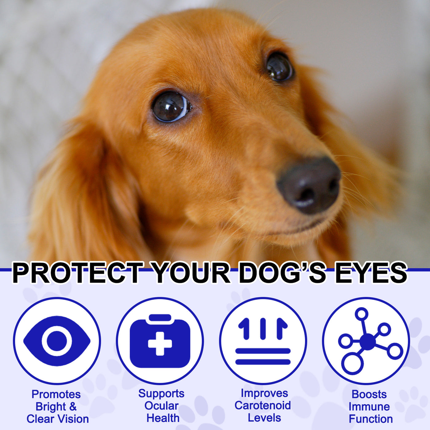 Oimmal  Eye Care Supplement for Dogs - 2 Packs