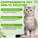 Oimmal Cats 3in1 Probiotic Drops - 1Pack