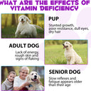 Oimmal 15 in 1 Multivitamin Drops for Dogs - LOT of 2