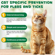 Oimmal Flea & Tick Prevention (6P)