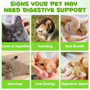 Oimmal Cats 3in1 Probiotic Drops - 1Pack
