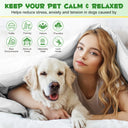 Oimmal Dog Calming Pheromone Diffuser Kit - 2 Packs