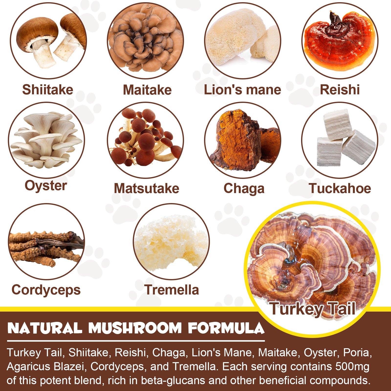 Oimmal Wild Mushroom Superblend 120g - 2Pack